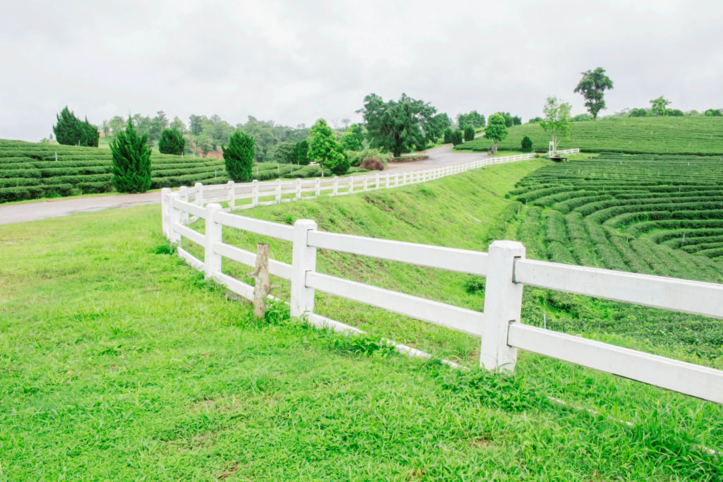 geo fencing companies